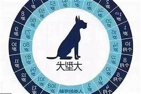 狗 生肖